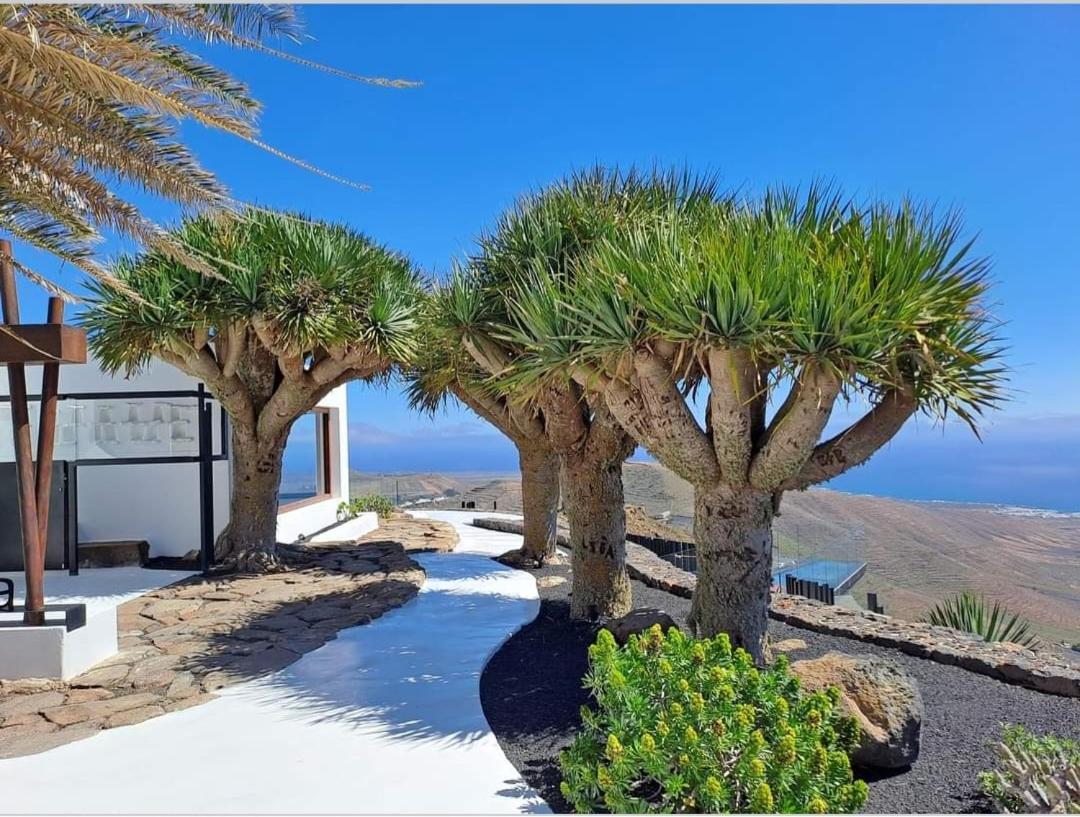 Casa La Tunera, Country House, Haria, Lanzarote Экстерьер фото